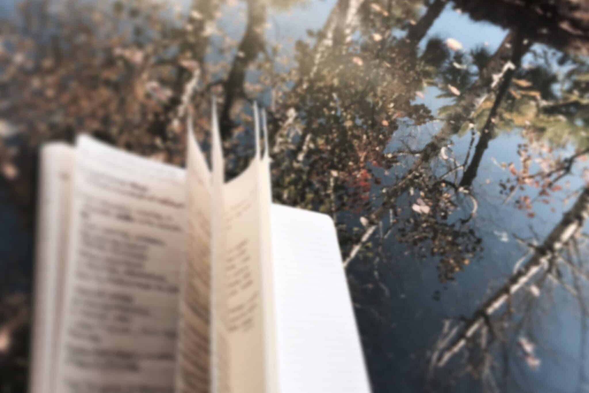 scrivere